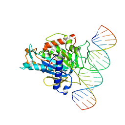 Molmil generated image of 5ed2