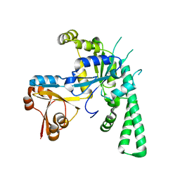 Molmil generated image of 5ee1
