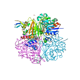 Molmil generated image of 5eio