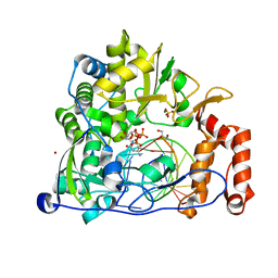 Molmil generated image of 5f8i