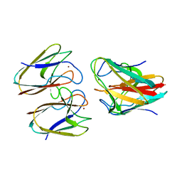 Molmil generated image of 5fc9