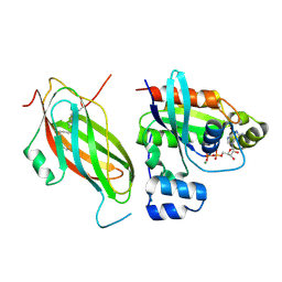 Molmil generated image of 5fr2