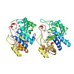Molmil generated image of 5hnt