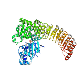 Molmil generated image of 5irn