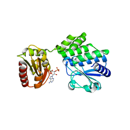 Molmil generated image of 5iuf