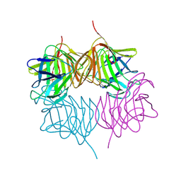 Molmil generated image of 5kkd