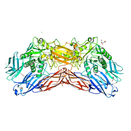 Molmil generated image of 5ldr