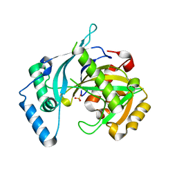 Molmil generated image of 5lou