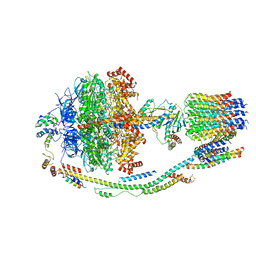 Molmil generated image of 5lqx
