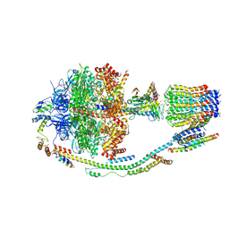 Molmil generated image of 5lqy