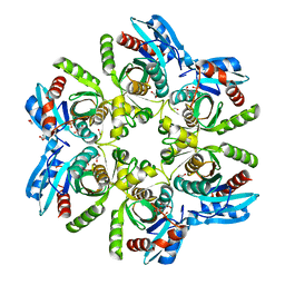 Molmil generated image of 5lu0