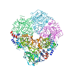 Molmil generated image of 5m1d