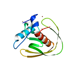 Molmil generated image of 5mtc