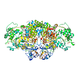 Molmil generated image of 5nqd