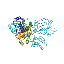 Molmil generated image of 5o4z
