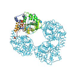 Molmil generated image of 5opl