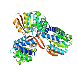 Molmil generated image of 5p8w