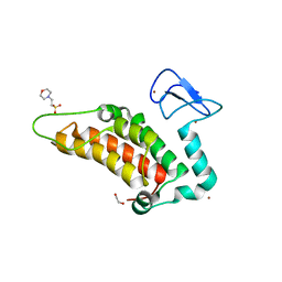 Molmil generated image of 5pwg