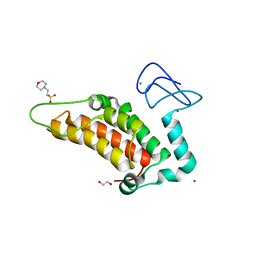 Molmil generated image of 5pwo