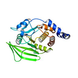 Molmil generated image of 5qdx