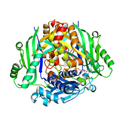 Molmil generated image of 5t8t