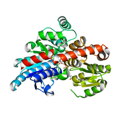 Molmil generated image of 5tmd
