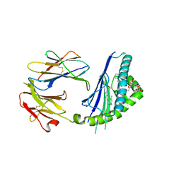 Molmil generated image of 5tw2