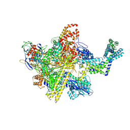 Molmil generated image of 5uac