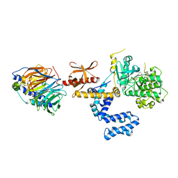 Molmil generated image of 5ukm