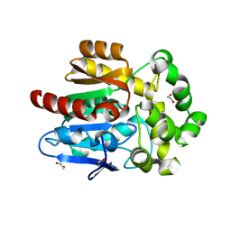 Molmil generated image of 5uy1