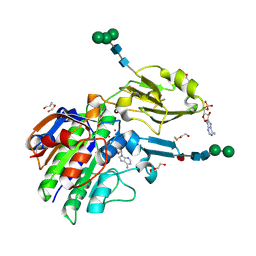 Molmil generated image of 5veo