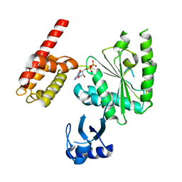 Molmil generated image of 5wc2