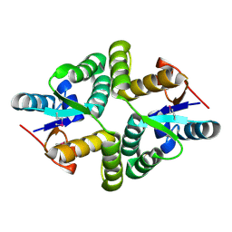 Molmil generated image of 5wz4