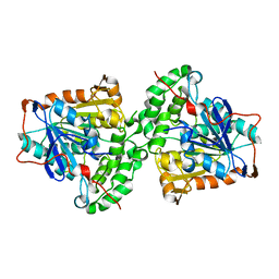 Molmil generated image of 5xav