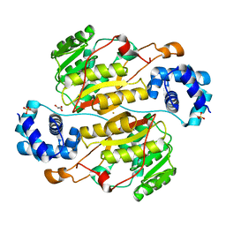 Molmil generated image of 5xnf