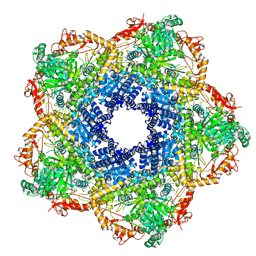 Molmil generated image of 5xx1