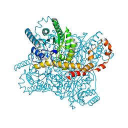 Molmil generated image of 5y4j
