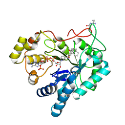 Molmil generated image of 5y7n