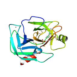 Molmil generated image of 6avl