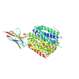 Molmil generated image of 6c9w