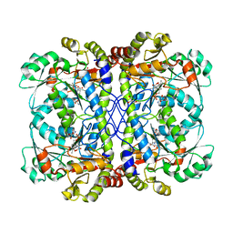 Molmil generated image of 6cja