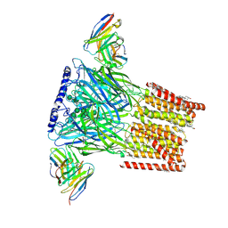 Molmil generated image of 6d6t