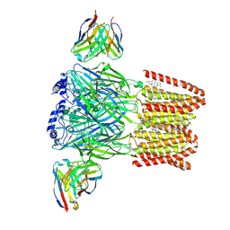 Molmil generated image of 6d6u