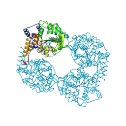Molmil generated image of 6ddh