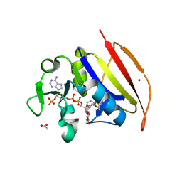 Molmil generated image of 6dds