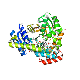 Molmil generated image of 6dvv