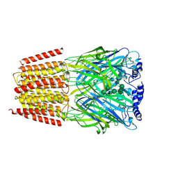 Molmil generated image of 6dw0