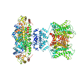 Molmil generated image of 6ebk