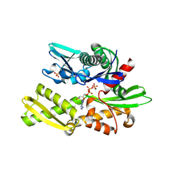 Molmil generated image of 6fhk