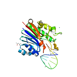 Molmil generated image of 6fk5